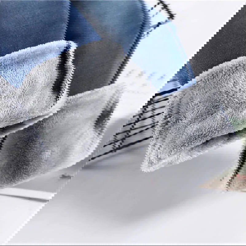 Thermal Autumn Warm Plush Jeans - Woman`s Clothing